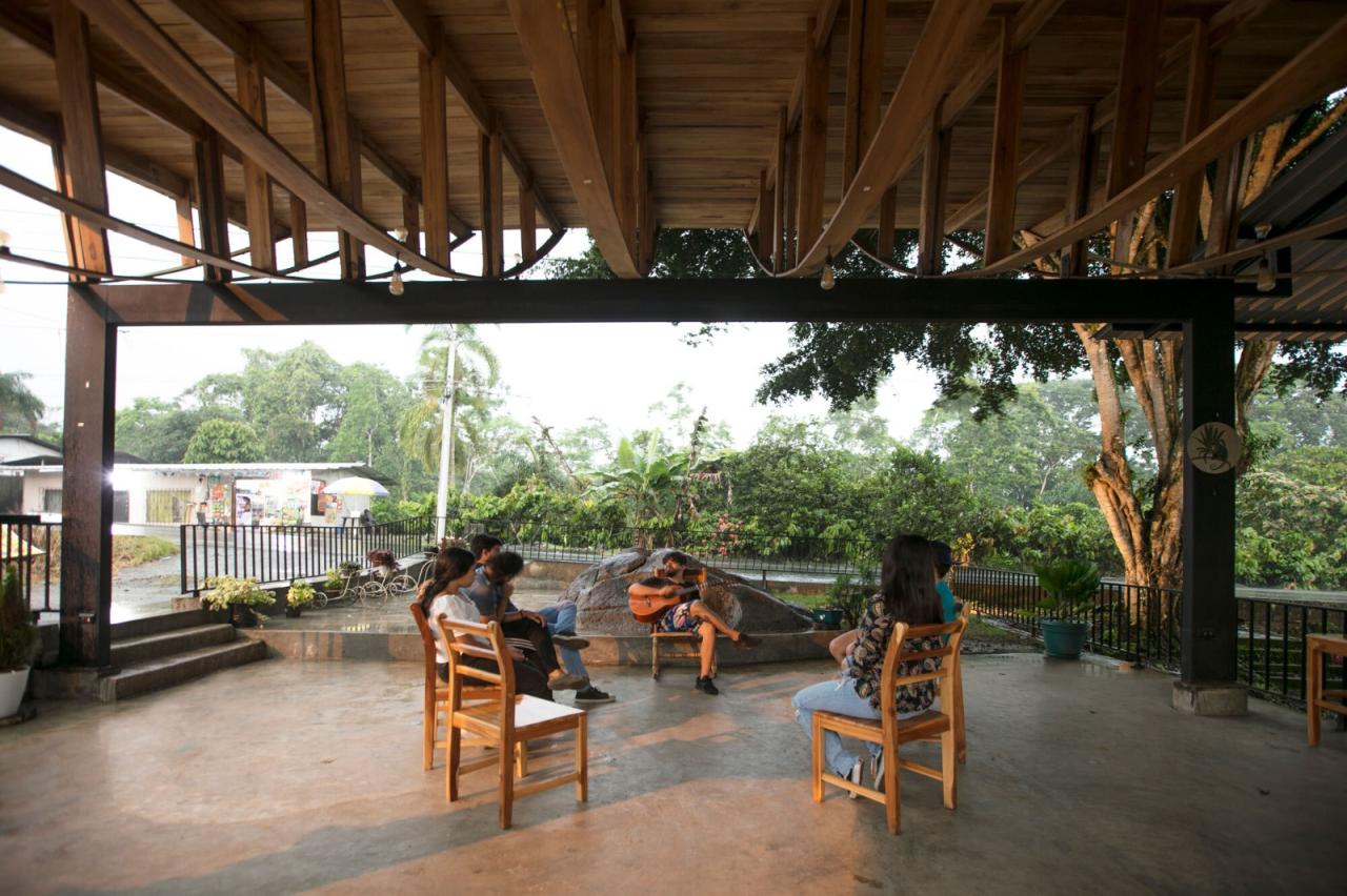 BIM建筑|村口榕树下，社区公共空间 Ficus Alto / Natura Futura Arquitectura