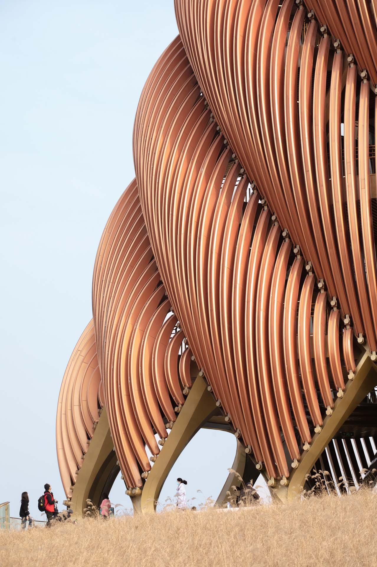 BIM建筑|成都熊猫基地熊猫塔，机械‘竹笋’ / UDG.零号工作室