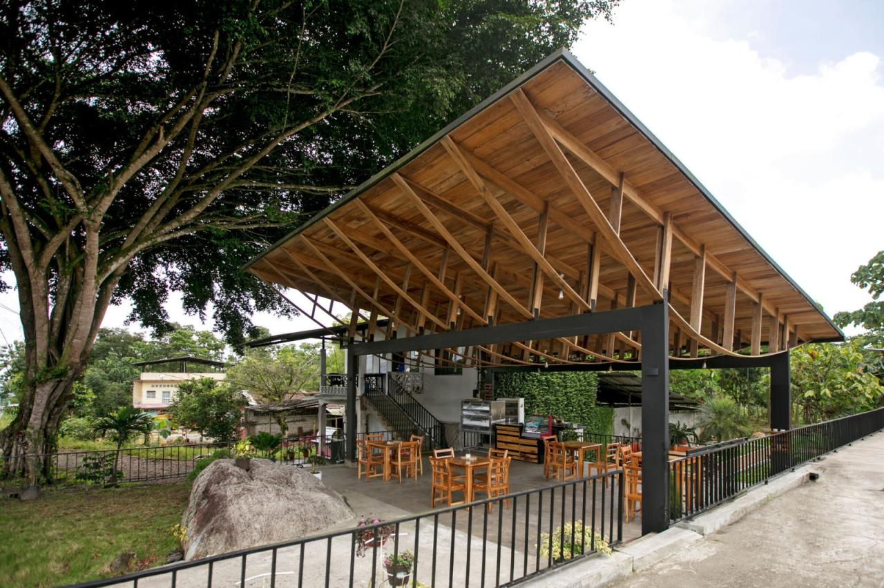 BIM建筑|村口榕树下，社区公共空间 Ficus Alto / Natura Futura Arquitectura