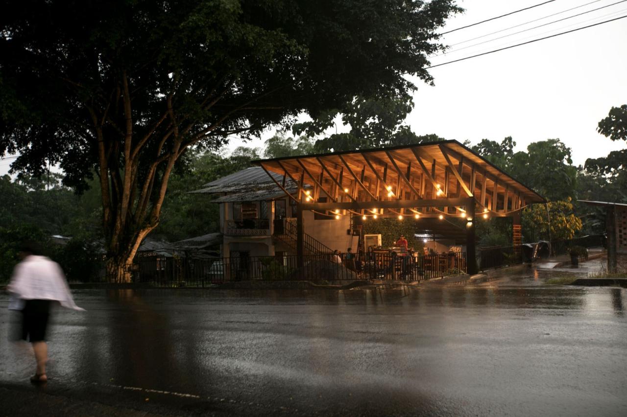 BIM建筑|村口榕树下，社区公共空间 Ficus Alto / Natura Futura Arquitectura