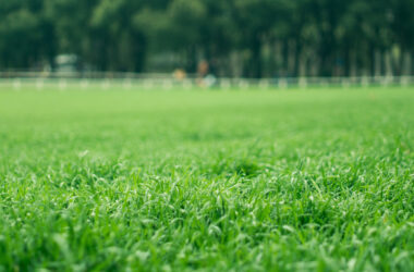 BIM问答|BIM如何控制进度？BIM技术在园林工程进度管理中的应用-BIM建筑网