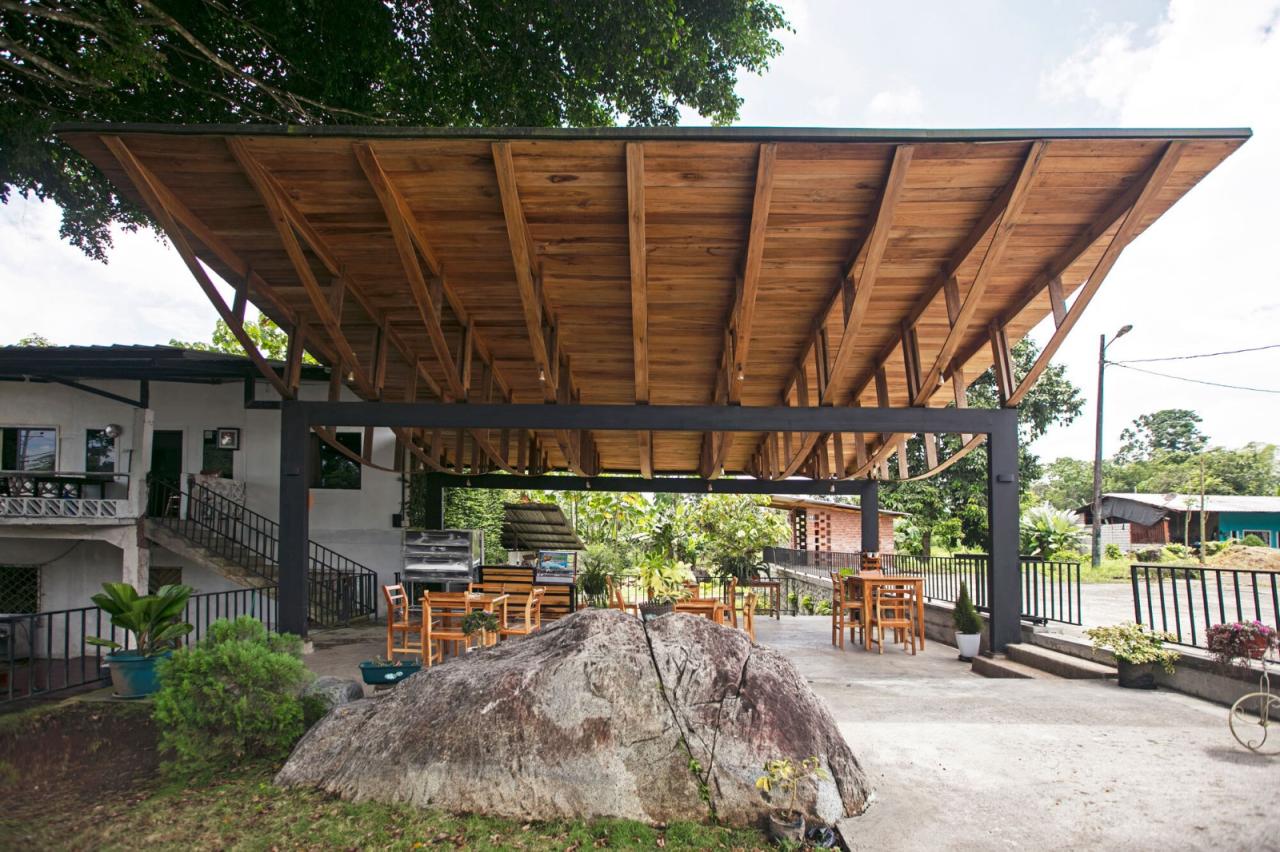 BIM建筑|村口榕树下，社区公共空间 Ficus Alto / Natura Futura Arquitectura