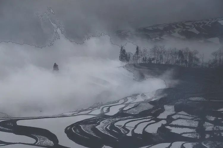 BIM建筑|云幔书屋 ：内外无界的极致透明 / UUA