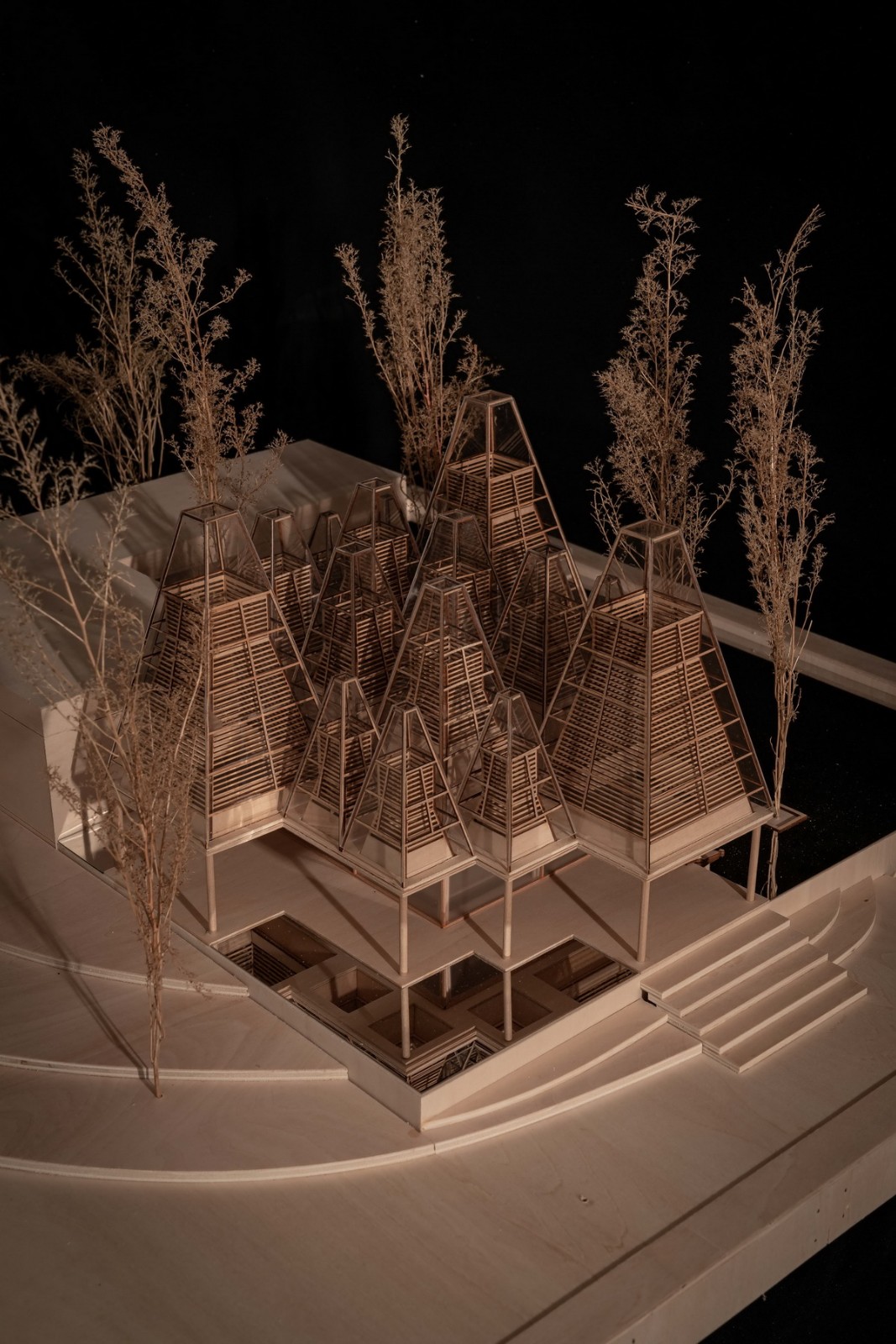 BIM建筑|水杉林餐厅：水边的风景 / goa作品