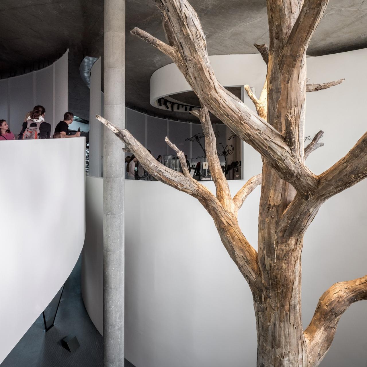 BIM建筑|安徒生博物馆 / 隈研吾建筑都市设计事务所