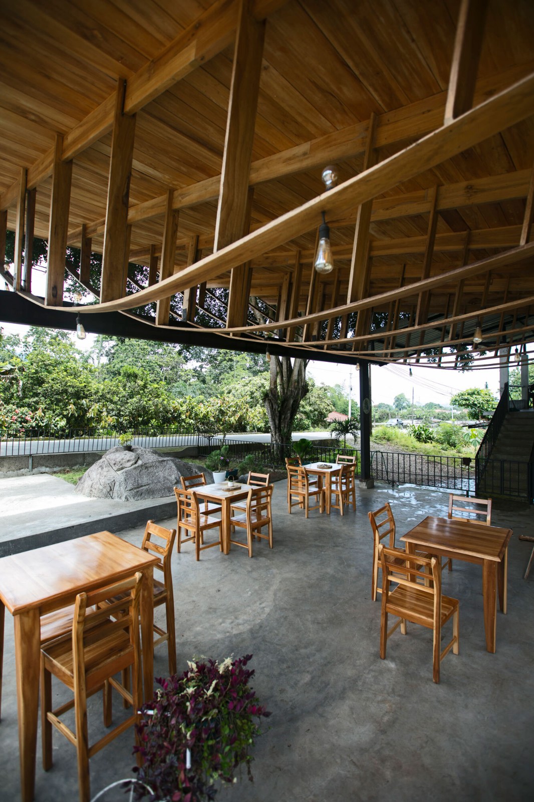 BIM建筑|村口榕树下，社区公共空间 Ficus Alto / Natura Futura Arquitectura