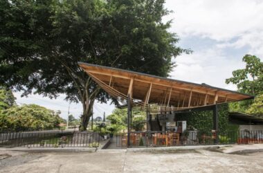 BIM建筑|村口榕树下，社区公共空间 Ficus Alto / Natura Futura Arquitectura-BIM建筑网