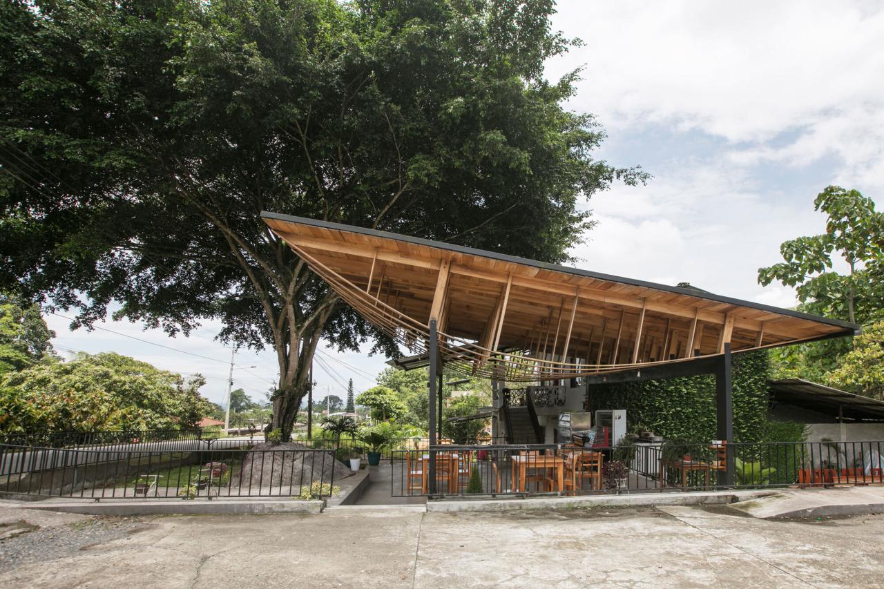 BIM建筑|村口榕树下，社区公共空间 Ficus Alto / Natura Futura Arquitectura
