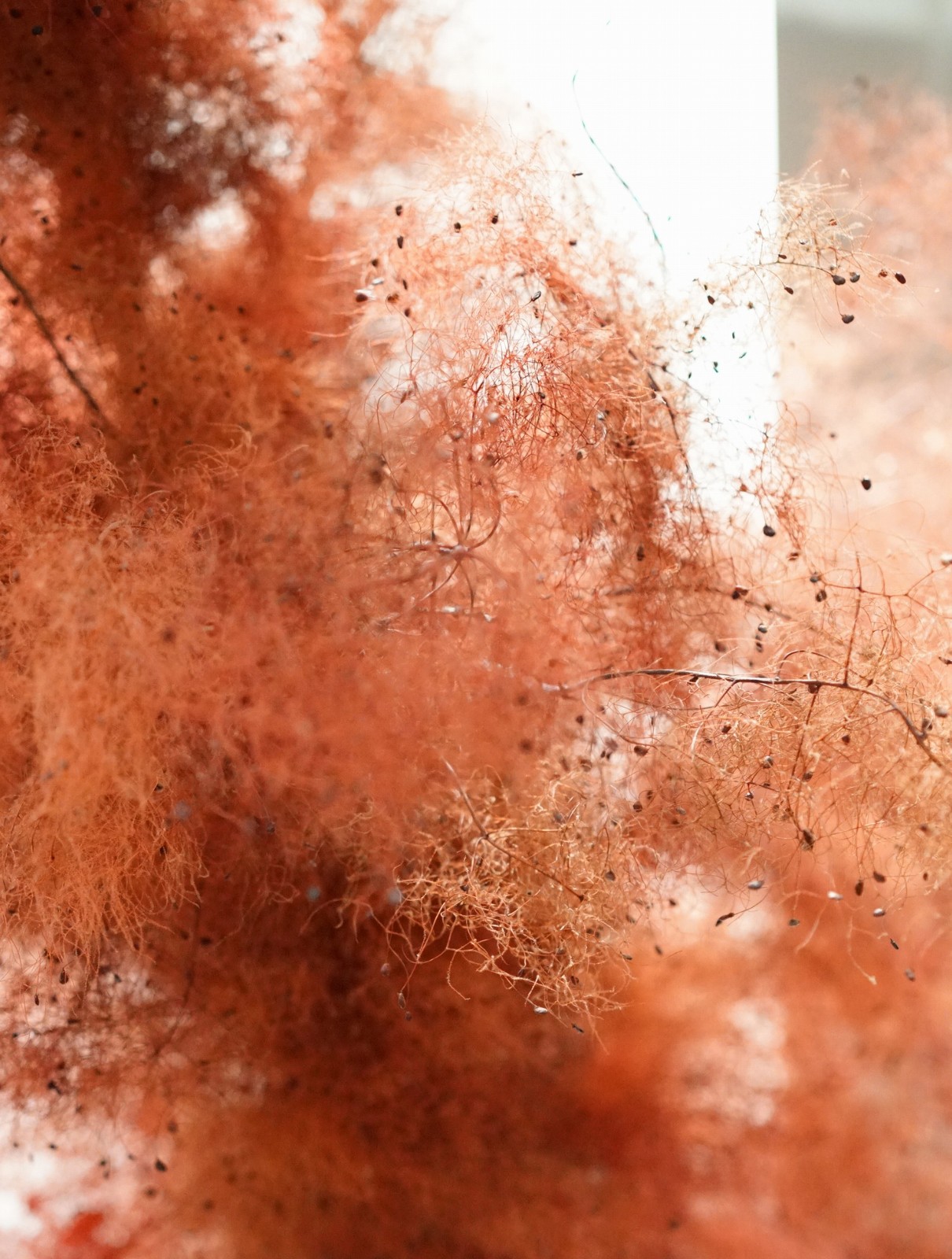 BIM建筑|境转无界 城市橱窗——义乌桂语兰庭 / ZSD卓时