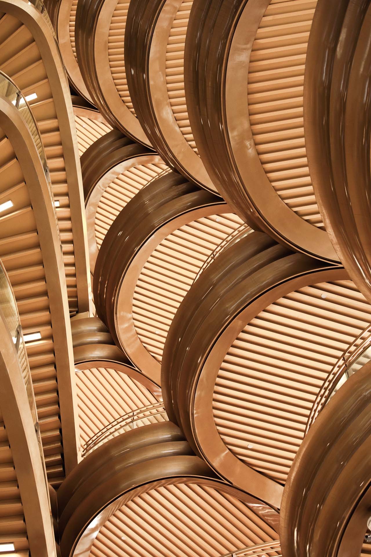 BIM建筑|成都熊猫基地熊猫塔，机械‘竹笋’ / UDG.零号工作室