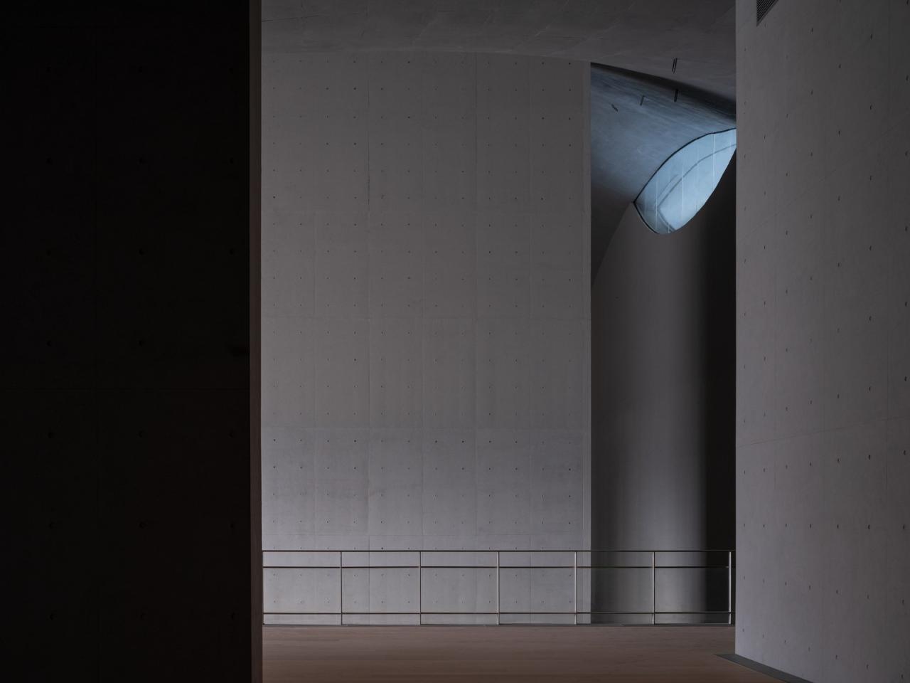 BIM建筑|琴台美术馆 / 大舍建筑设计事务所