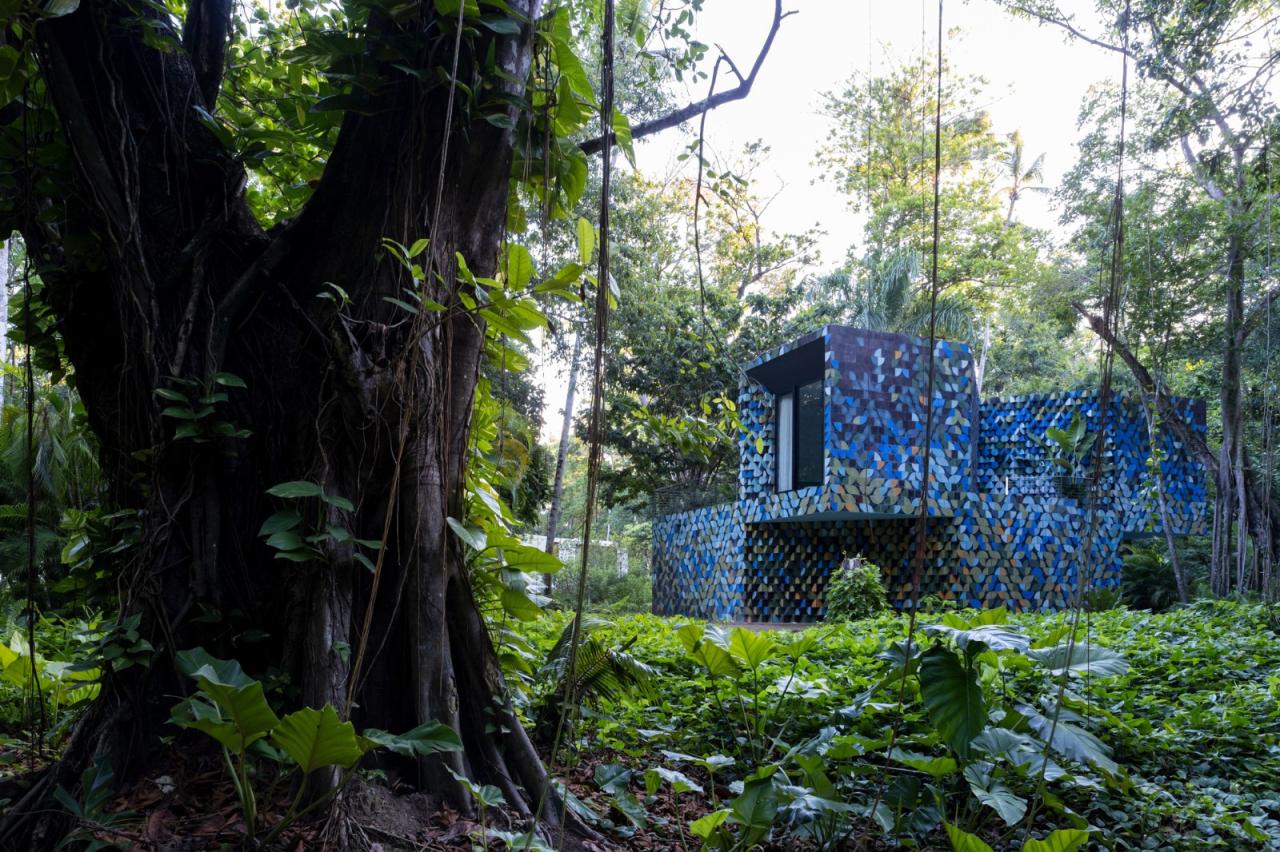 BIM建筑|Las Olas 度假屋 / Young Projects