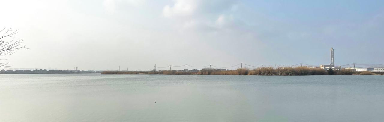 BIM建筑|水杉林餐厅：水边的风景 / goa作品