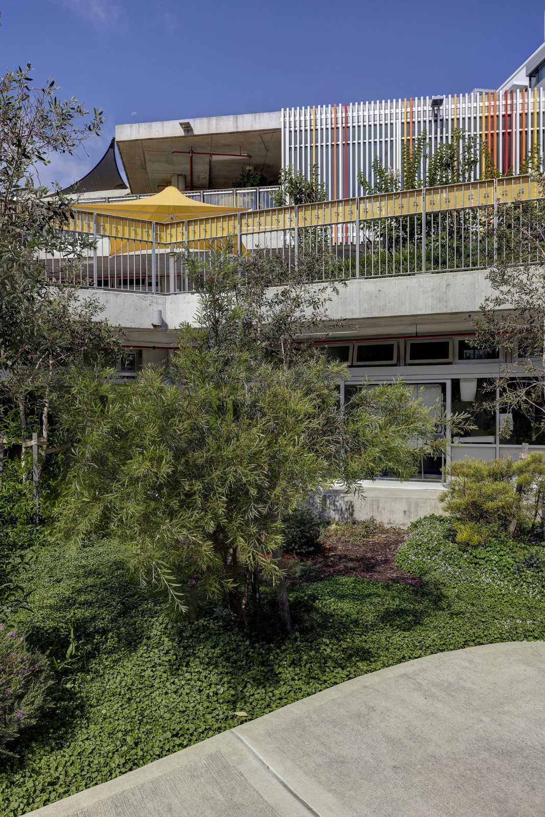 BIM建筑|Ultimo 公立小学/ DesignInc+ Lacoste + Stevenson + bmc2 architectes