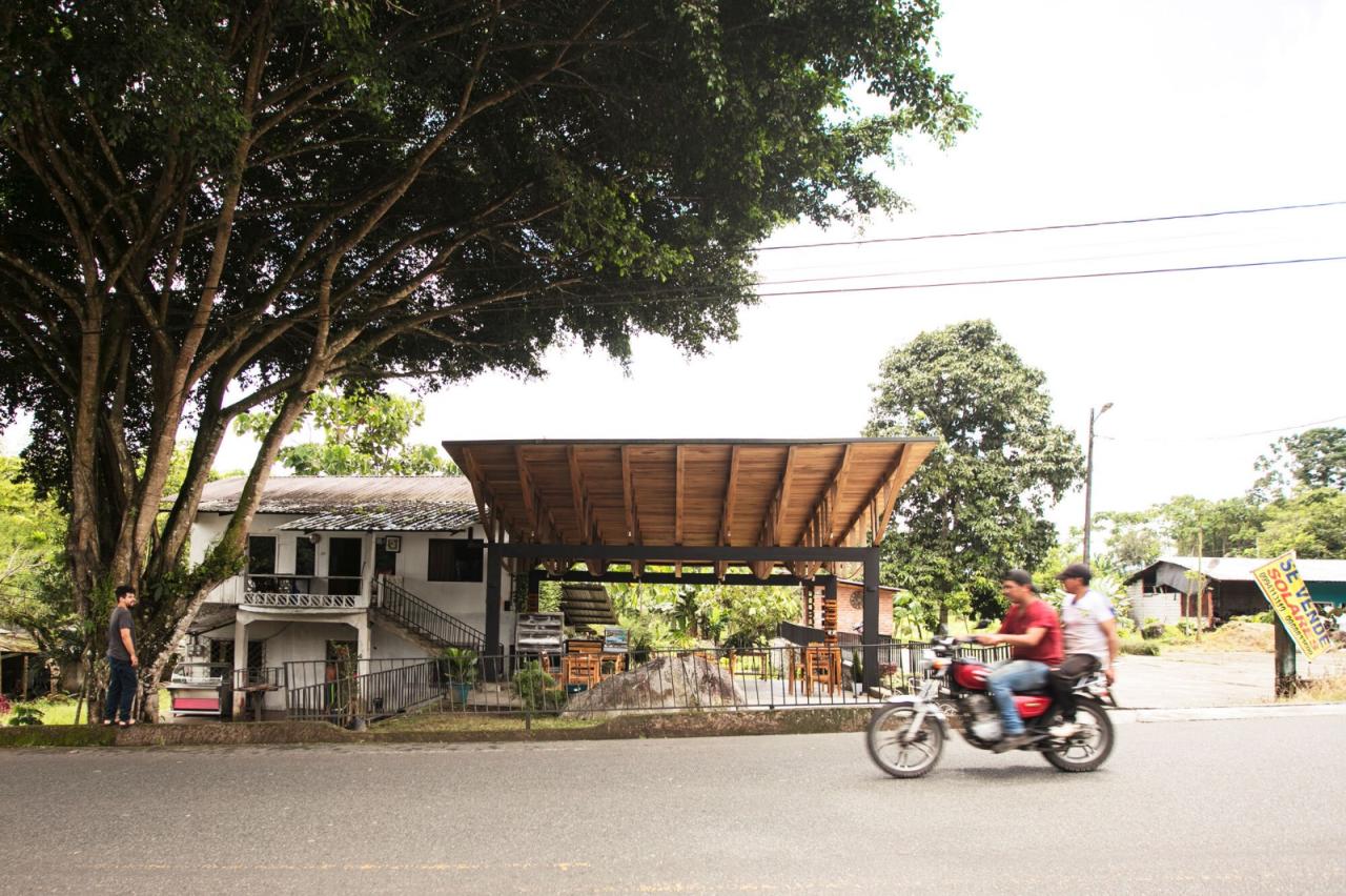 BIM建筑|村口榕树下，社区公共空间 Ficus Alto / Natura Futura Arquitectura