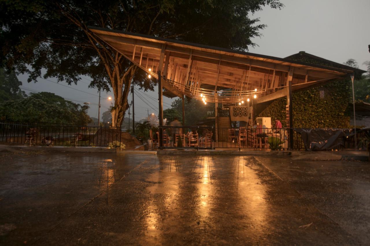 BIM建筑|村口榕树下，社区公共空间 Ficus Alto / Natura Futura Arquitectura