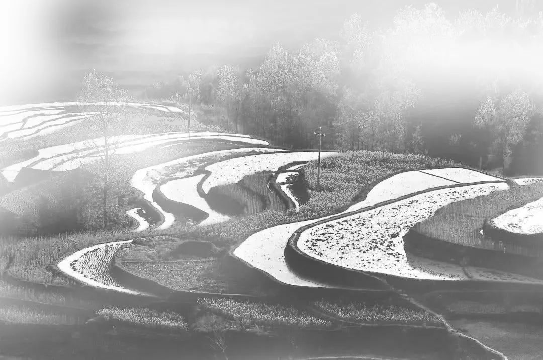 BIM建筑|云幔书屋 ：内外无界的极致透明 / UUA