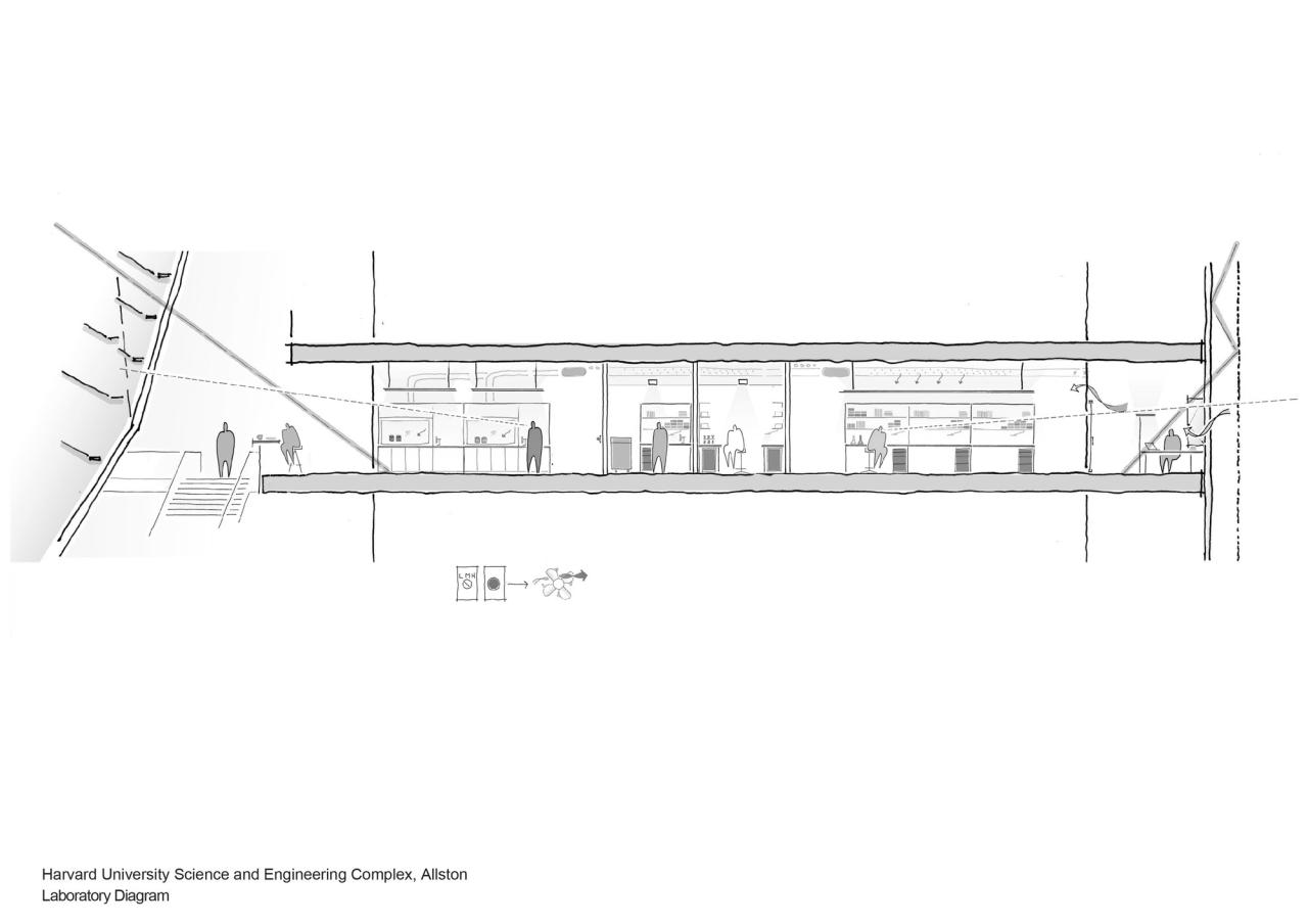BIM建筑|哈佛大学科学与工程综合楼 / 贝尼奇建筑事务所