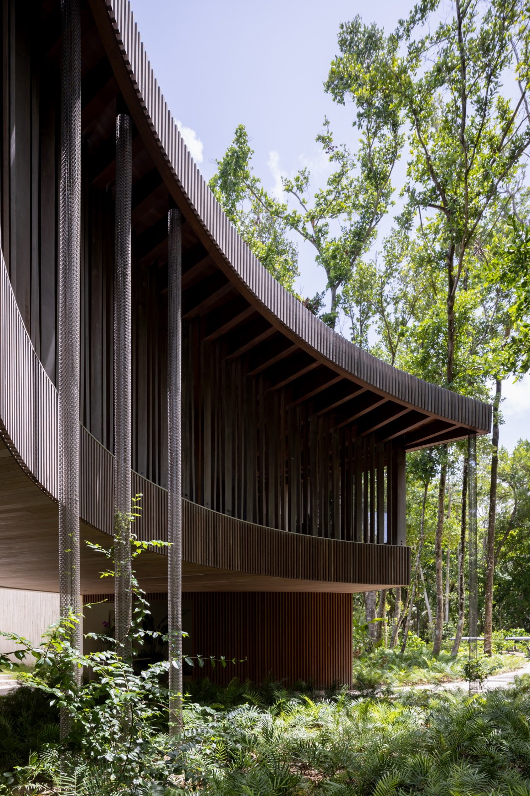 BIM建筑|Las Olas 度假屋 / Young Projects