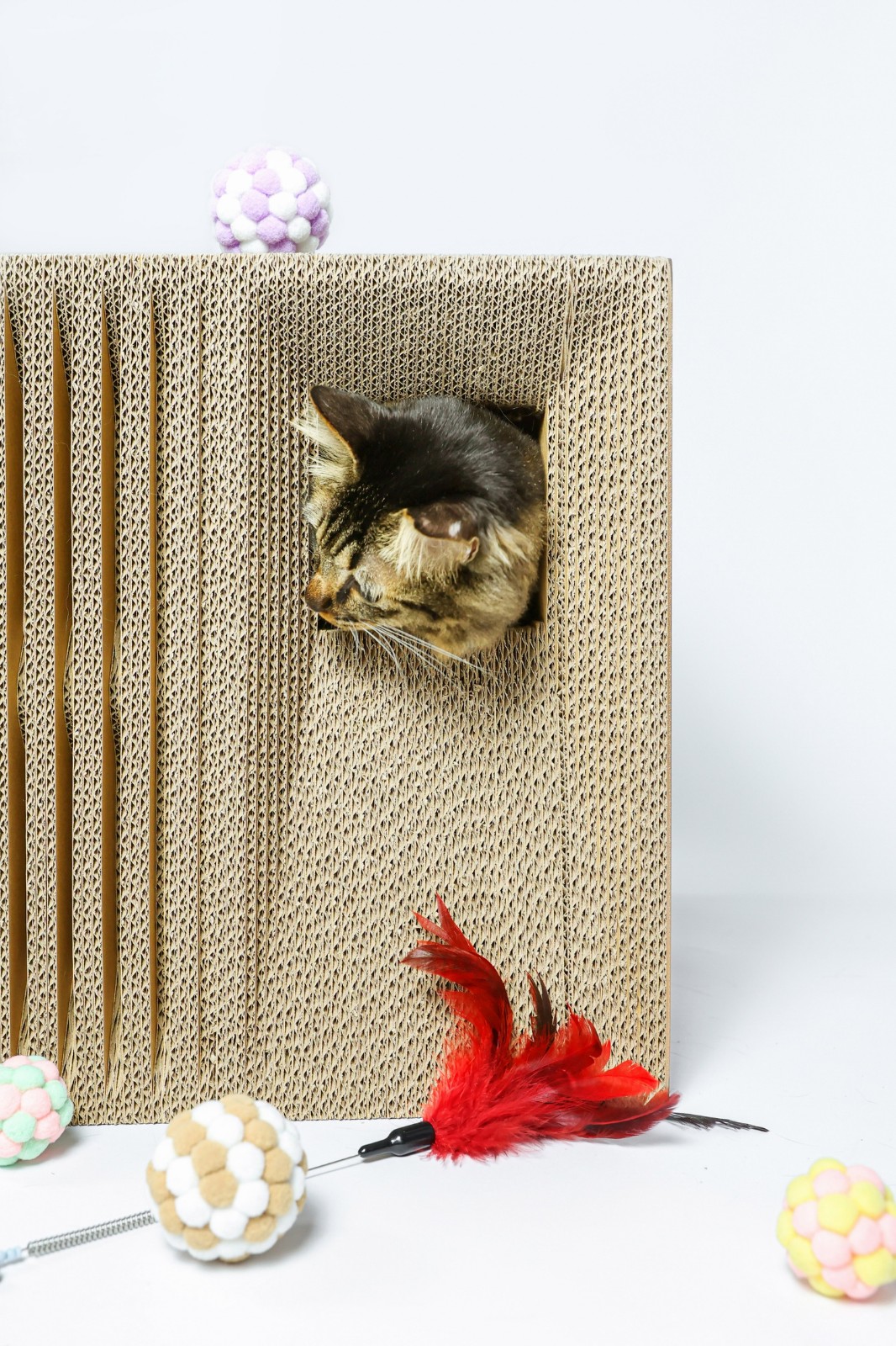 BIM建筑|假如业主是一只猫:猫立方系列 / 杜雷