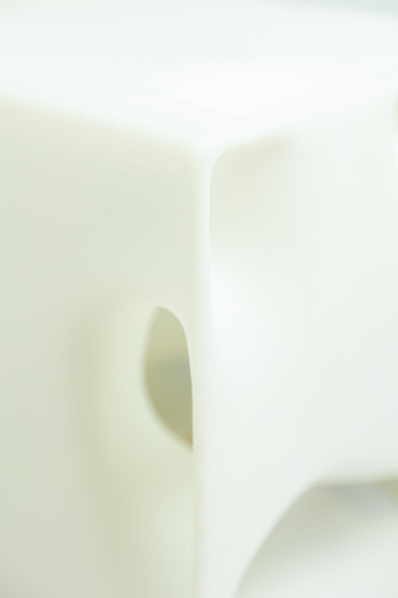 BIM建筑|假如业主是一只猫:猫立方系列 / 杜雷