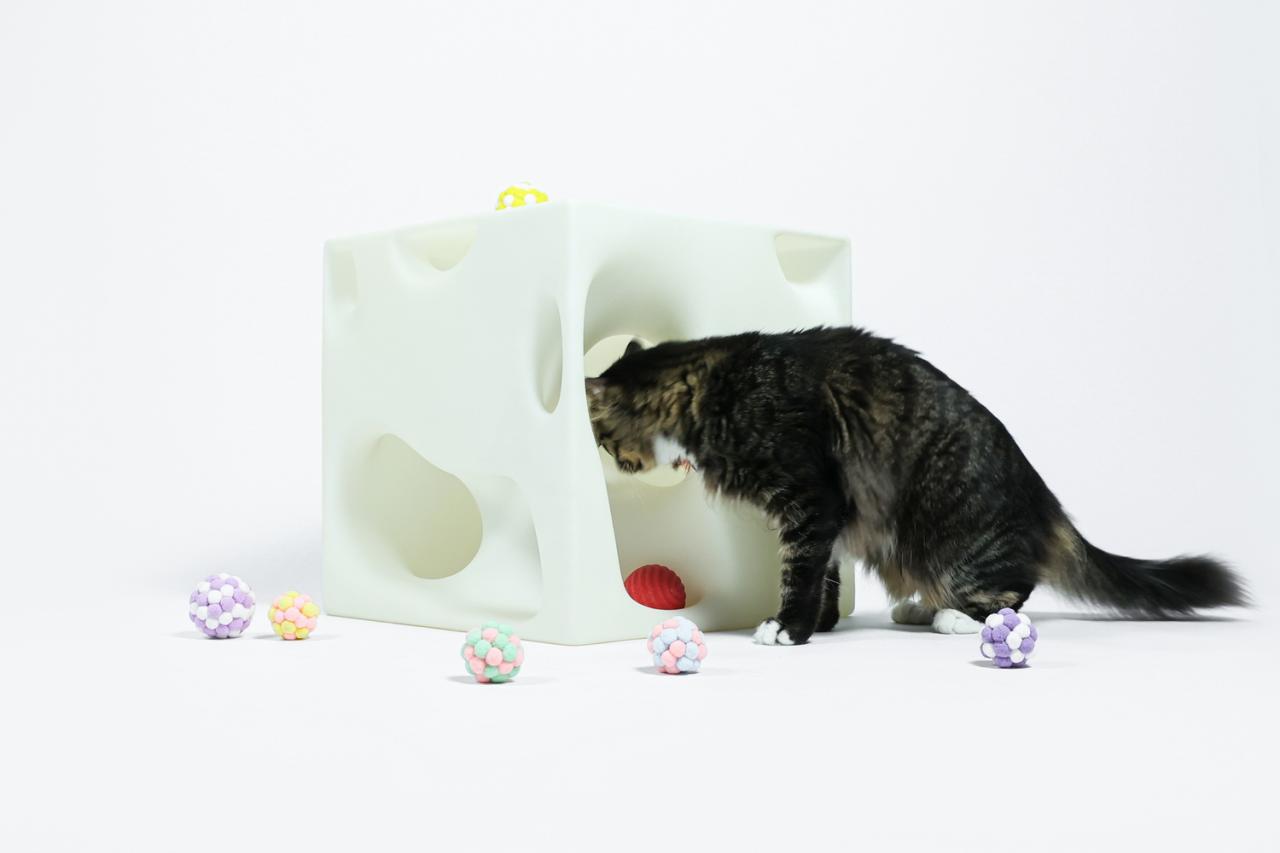 BIM建筑|假如业主是一只猫:猫立方系列 / 杜雷