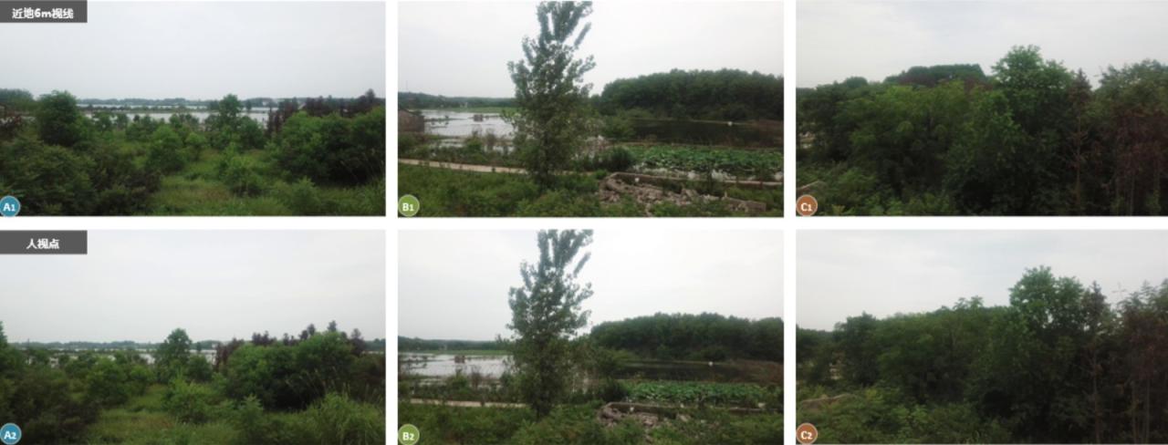 BIM建筑|长在《诗经》里的建筑，嘉鱼诗经美学馆 / BA作品