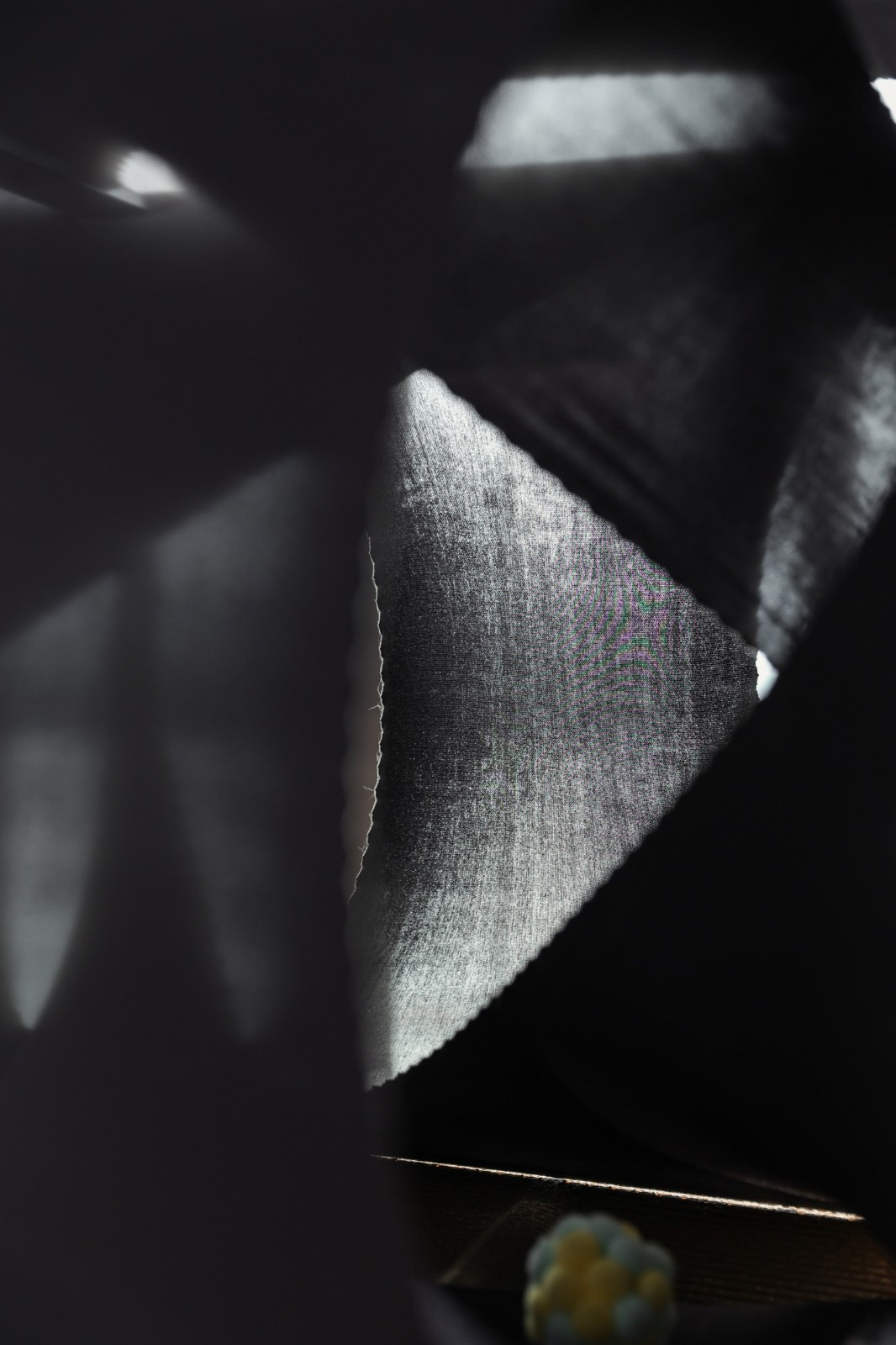 BIM建筑|假如业主是一只猫:猫立方系列 / 杜雷