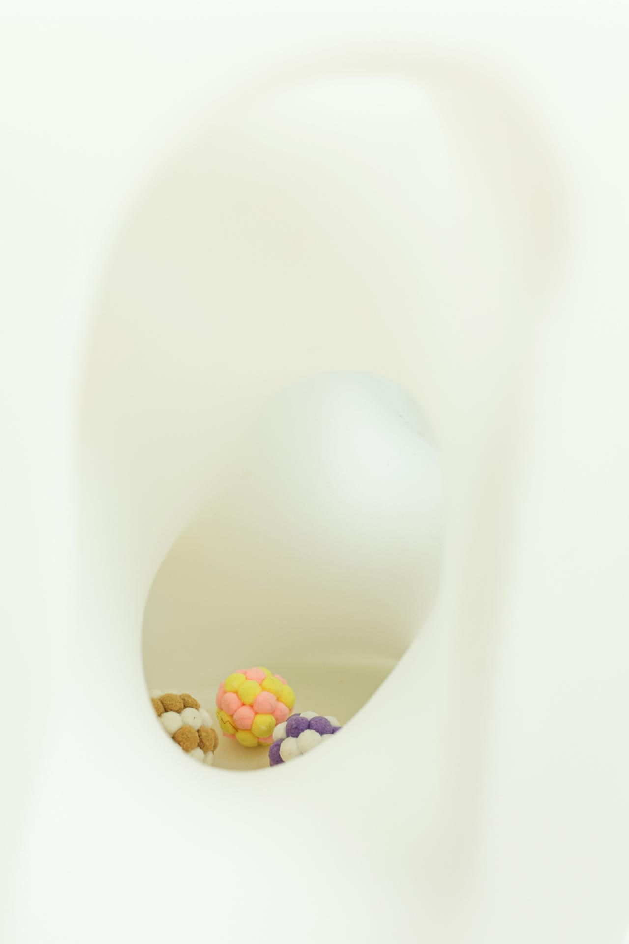 BIM建筑|假如业主是一只猫:猫立方系列 / 杜雷