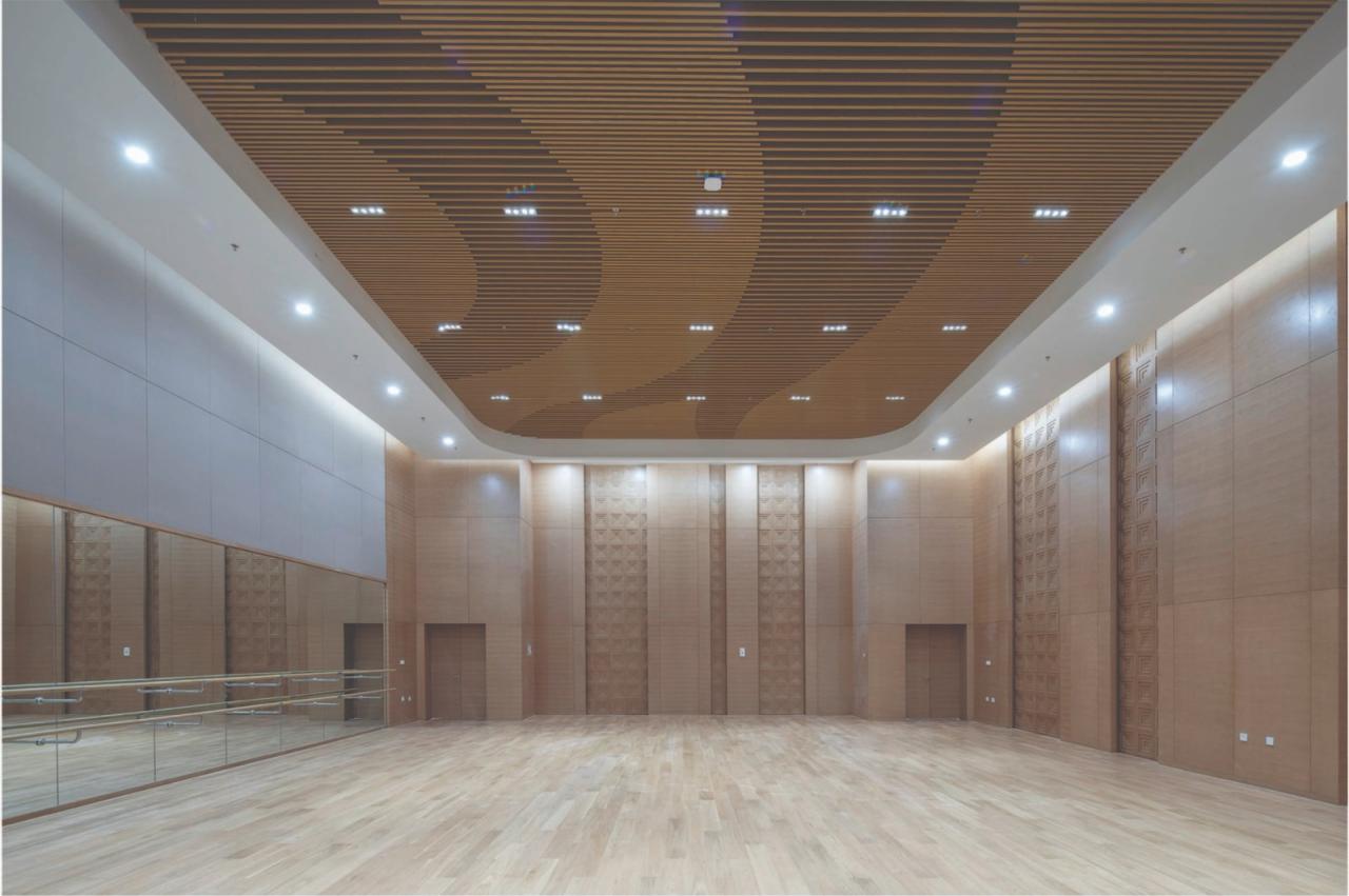 BIM建筑|郑州大剧院 / 哈尔滨工业大学建筑设计研究院