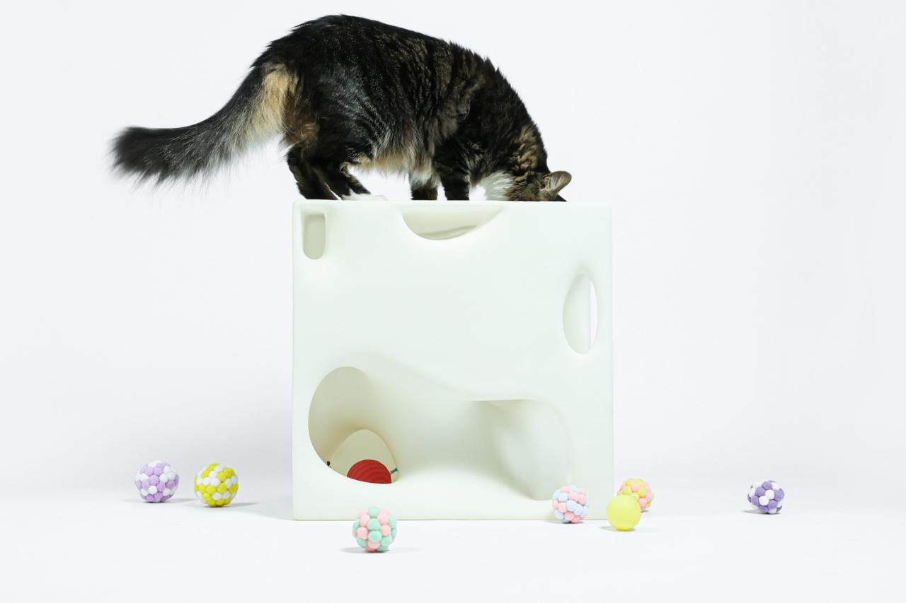 BIM建筑|假如业主是一只猫:猫立方系列 / 杜雷