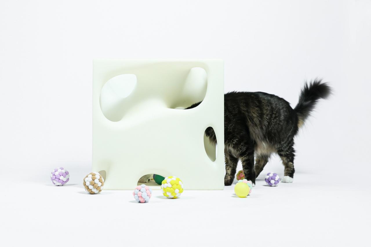 BIM建筑|假如业主是一只猫:猫立方系列 / 杜雷