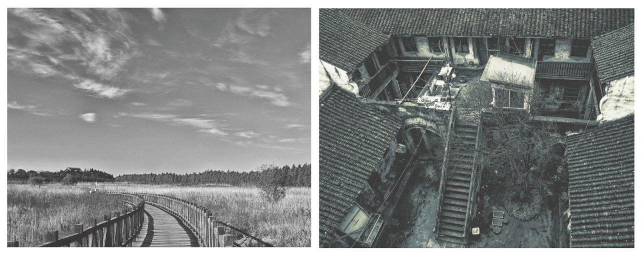 BIM建筑|上海中信泰富-仁恒海和院展示中心 / UA尤安设计