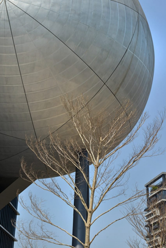 BIM建筑|OMA设计的台北表演艺术中心