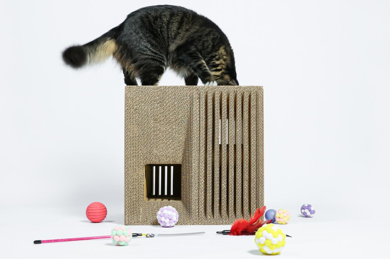 BIM建筑|假如业主是一只猫:猫立方系列 / 杜雷