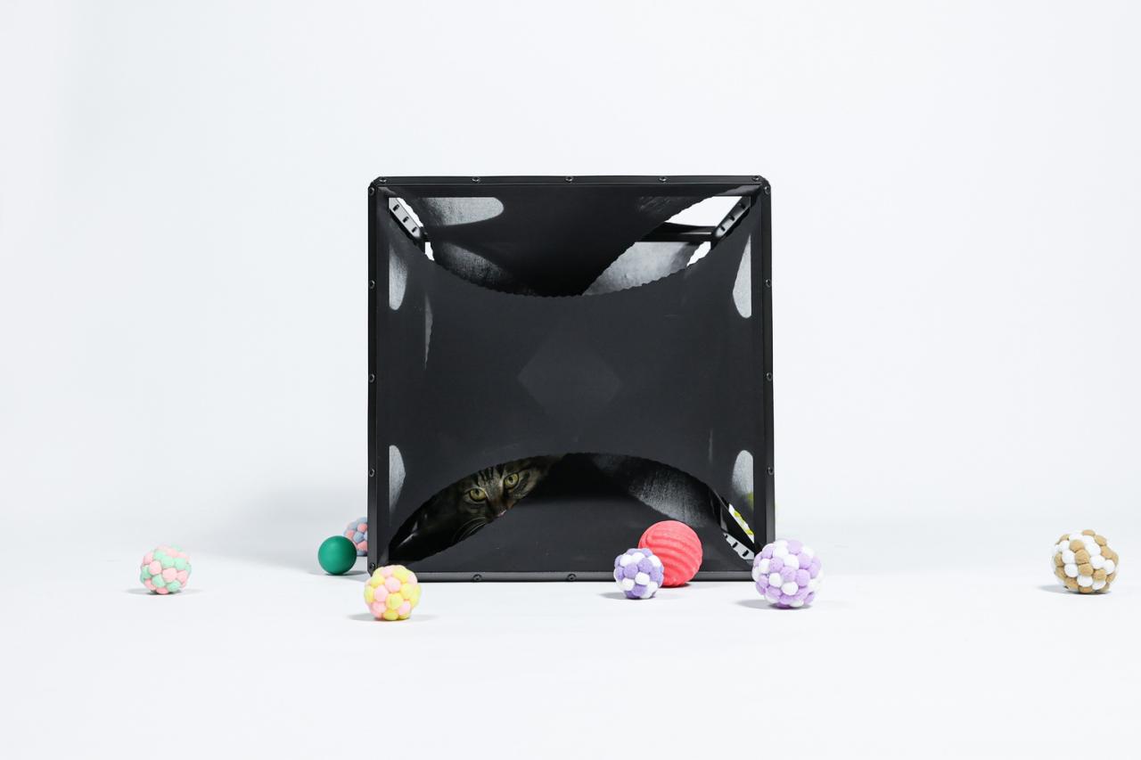 BIM建筑|假如业主是一只猫:猫立方系列 / 杜雷