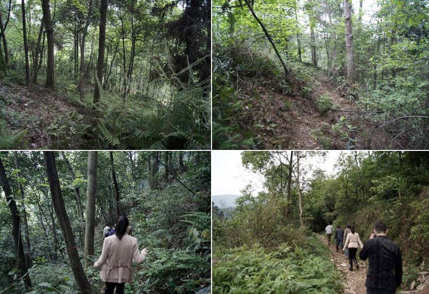 BIM建筑|会宗书院 / UA尤安设计