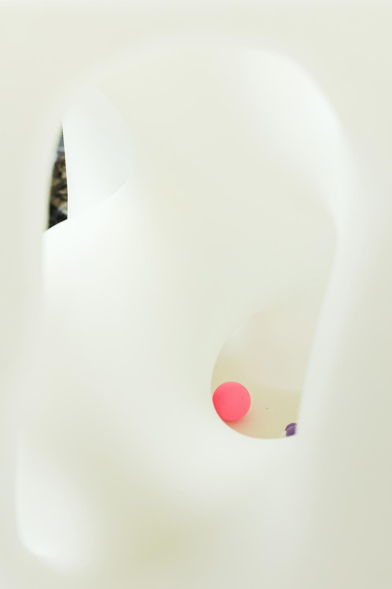 BIM建筑|假如业主是一只猫:猫立方系列 / 杜雷