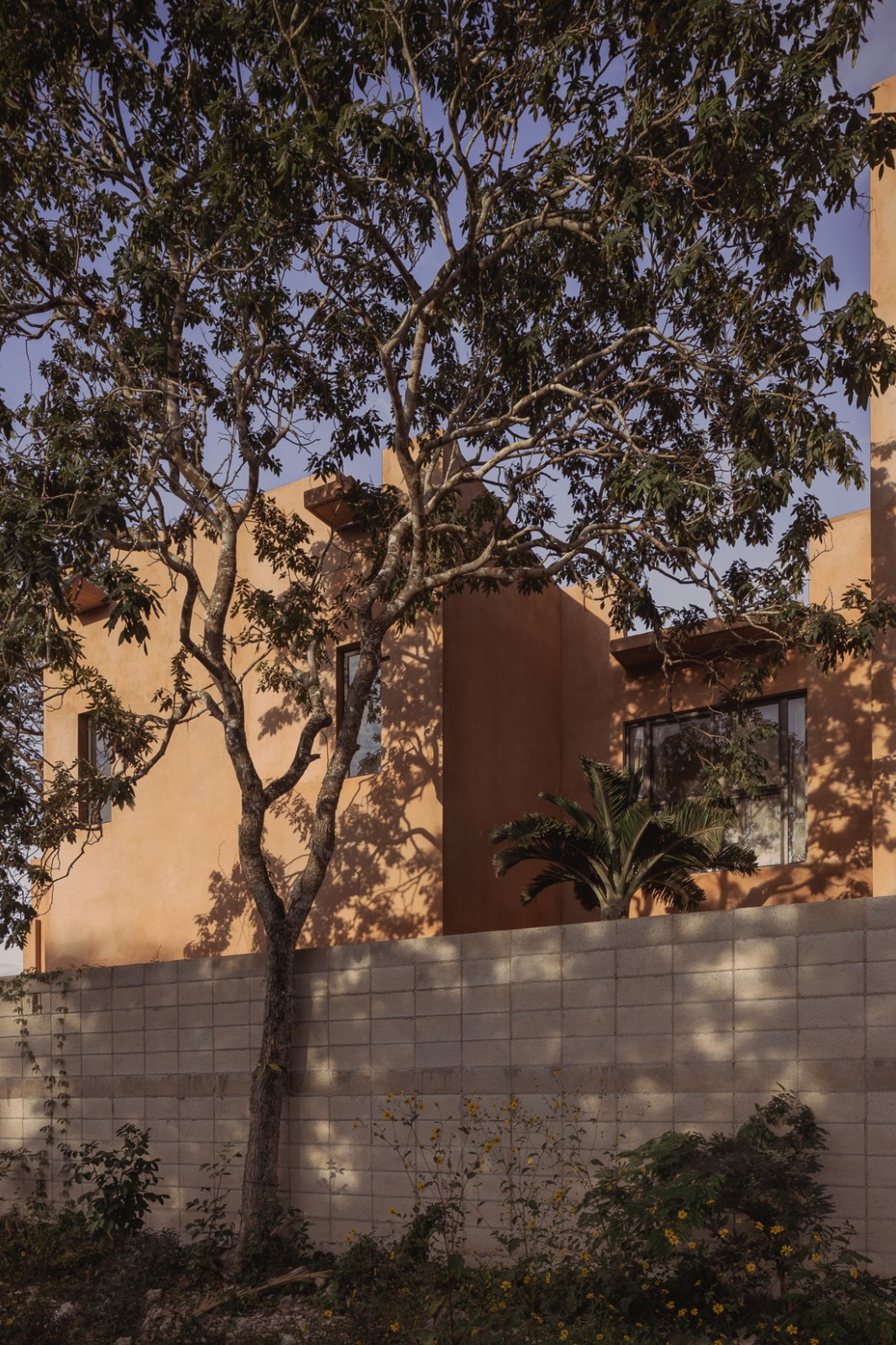 BIM建筑|Che\' Che\' 住宅 / Javier Puga Estudio