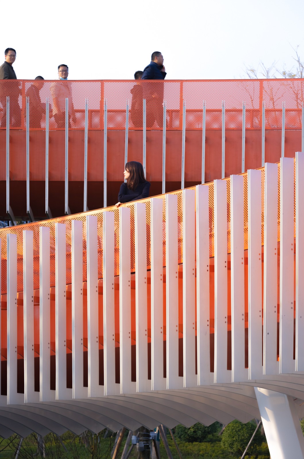 BIM建筑|成都大运会东安湖场馆景观连廊 / 四周建筑