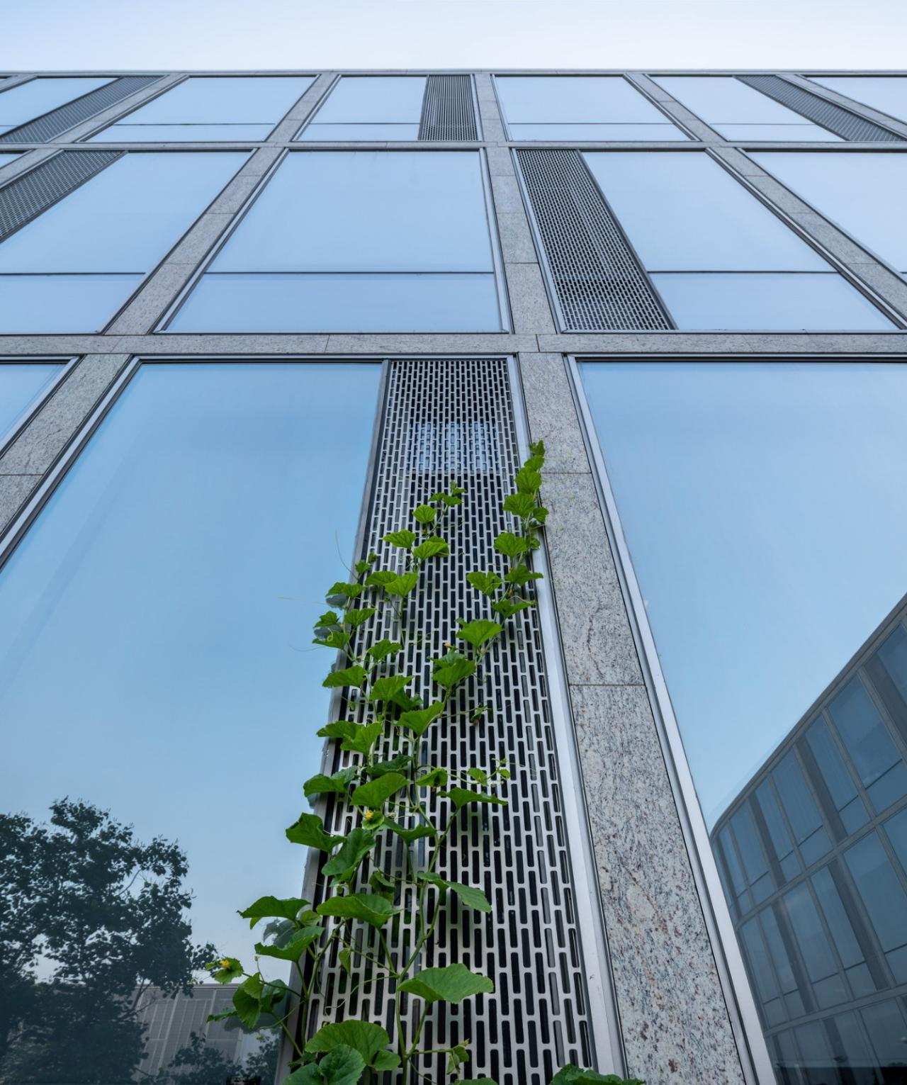 BIM建筑|杭州恩宝办公园区：秩序与自由 / gad