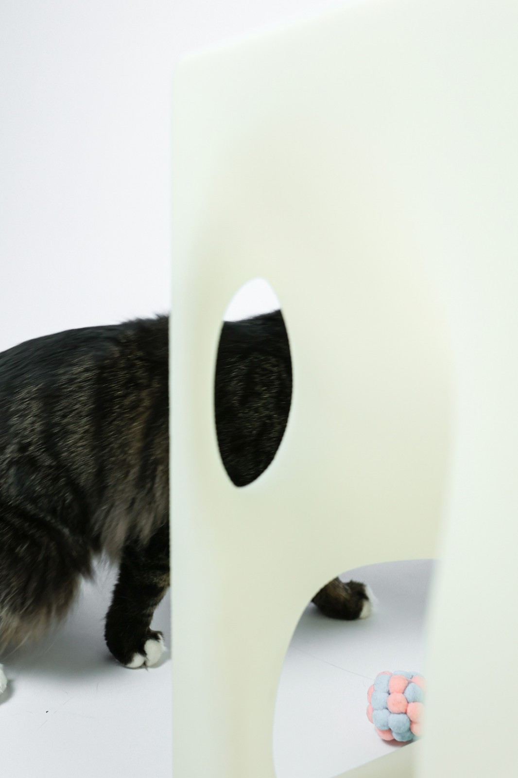 BIM建筑|假如业主是一只猫:猫立方系列 / 杜雷