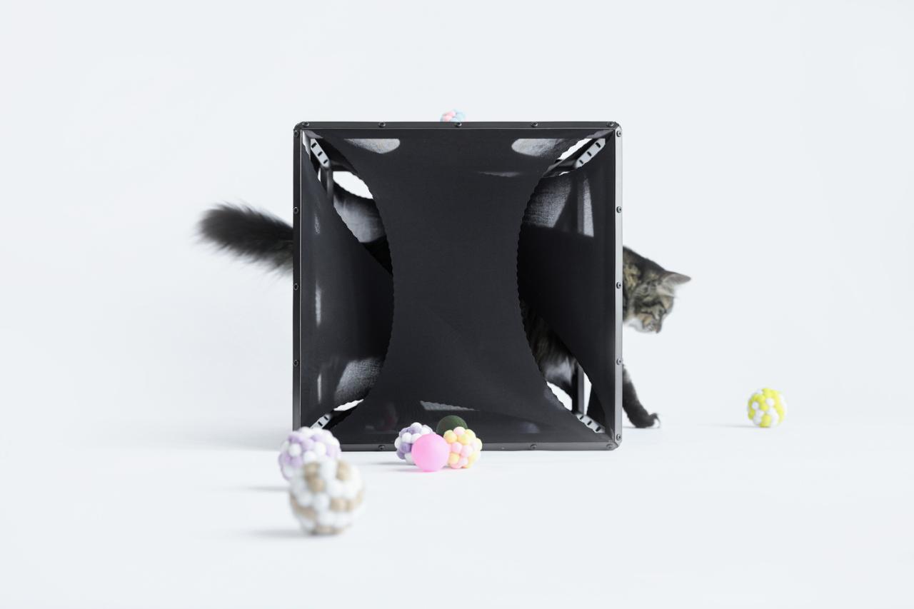 BIM建筑|假如业主是一只猫:猫立方系列 / 杜雷