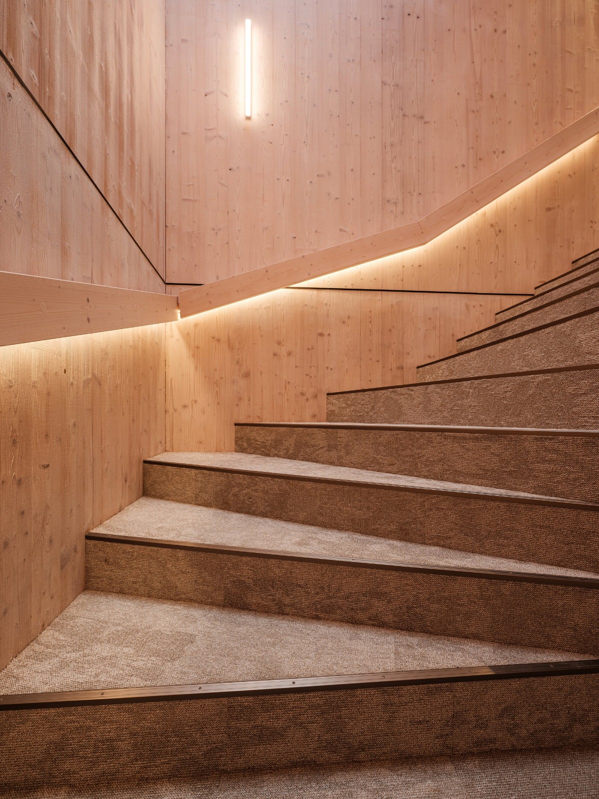 BIM建筑|Saue 乡村市政建筑 / molumba