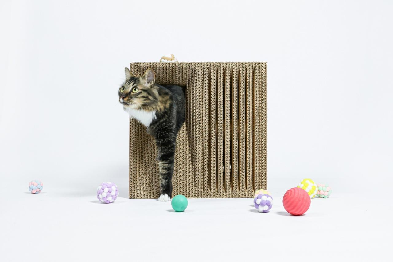 BIM建筑|假如业主是一只猫:猫立方系列 / 杜雷