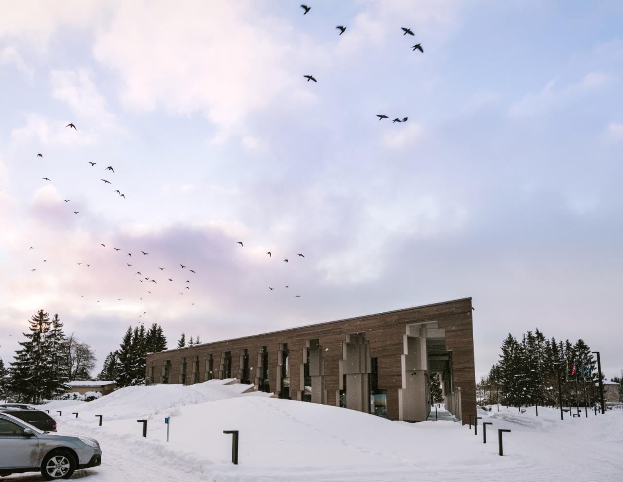 BIM建筑|Saue 乡村市政建筑 / molumba