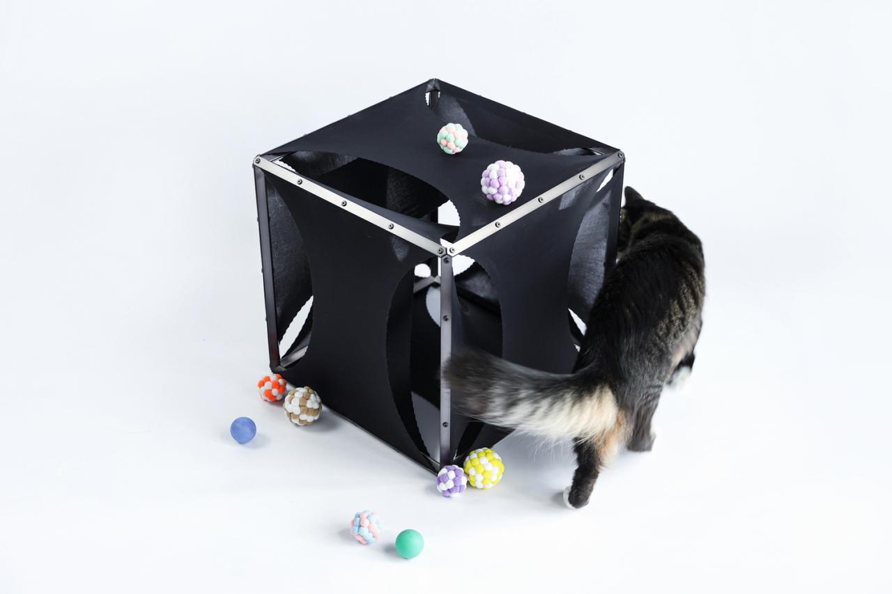 BIM建筑|假如业主是一只猫:猫立方系列 / 杜雷