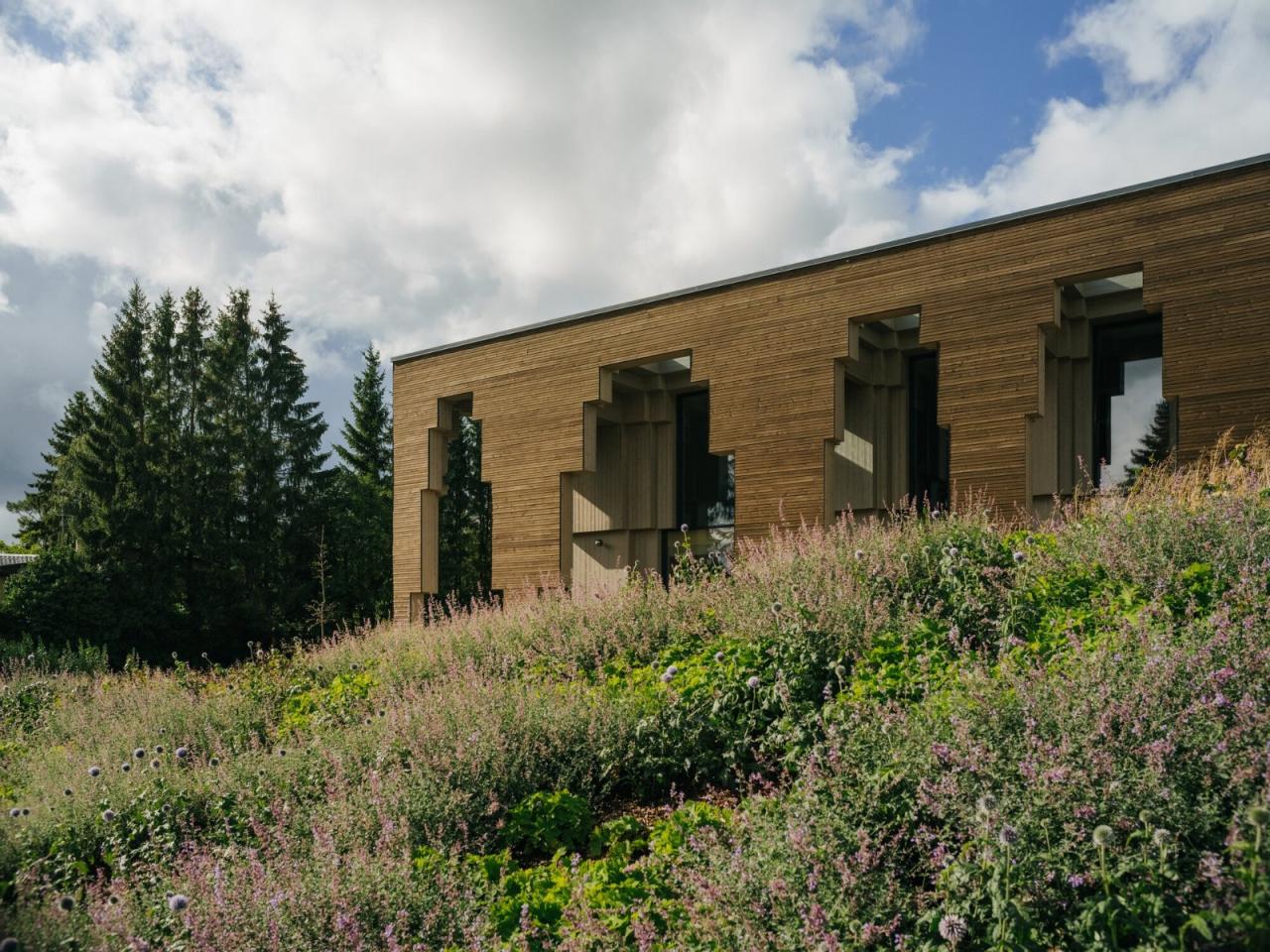 BIM建筑|Saue 乡村市政建筑 / molumba