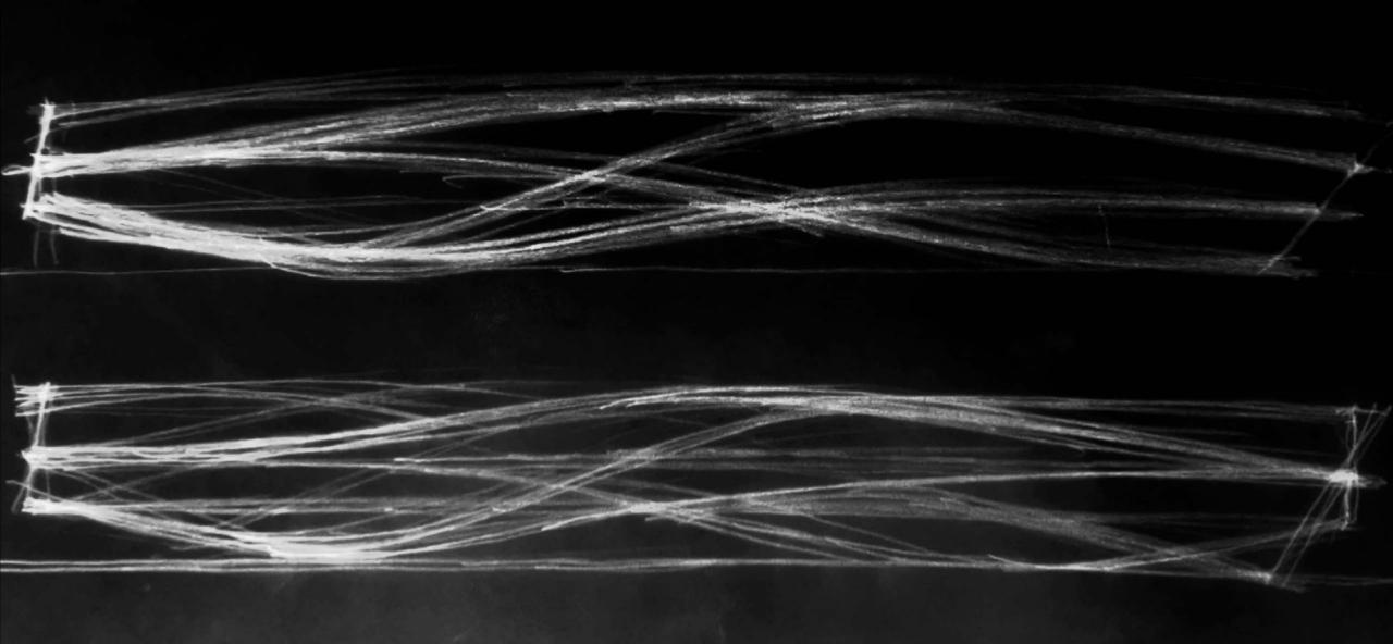 BIM建筑|琶洲港澳客运口岸 / XAA建筑事务所