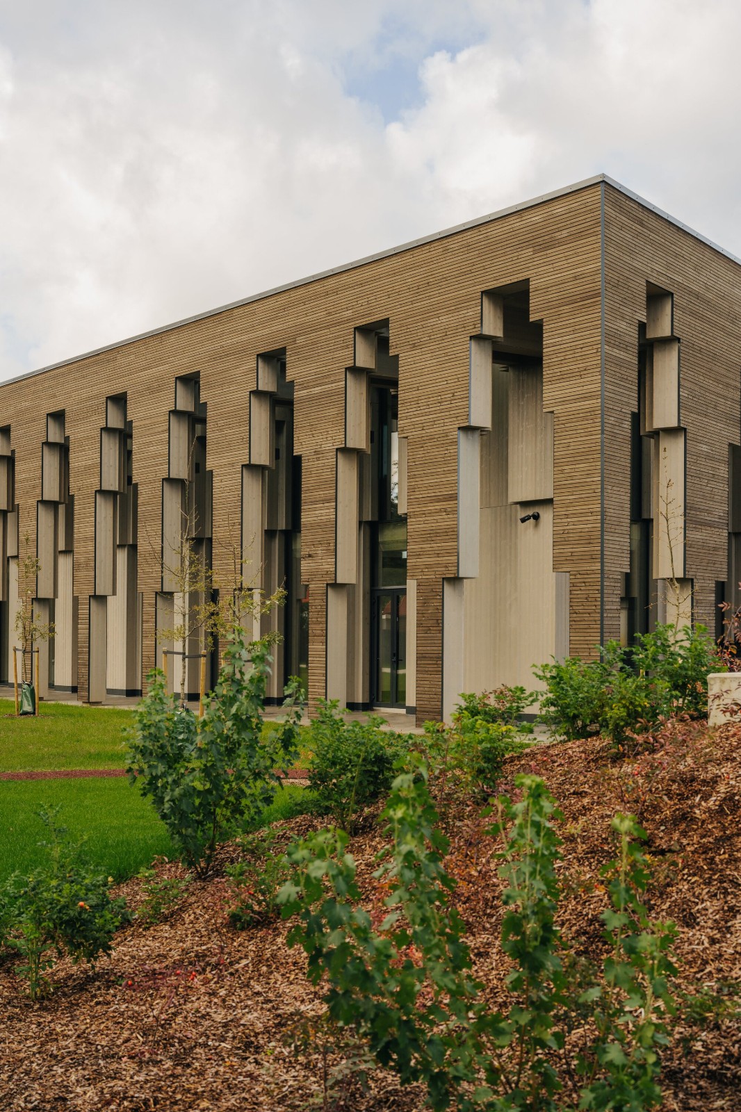 BIM建筑|Saue 乡村市政建筑 / molumba